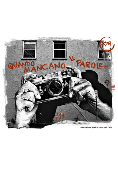 Image module