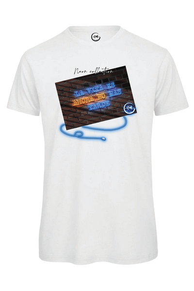 Image module