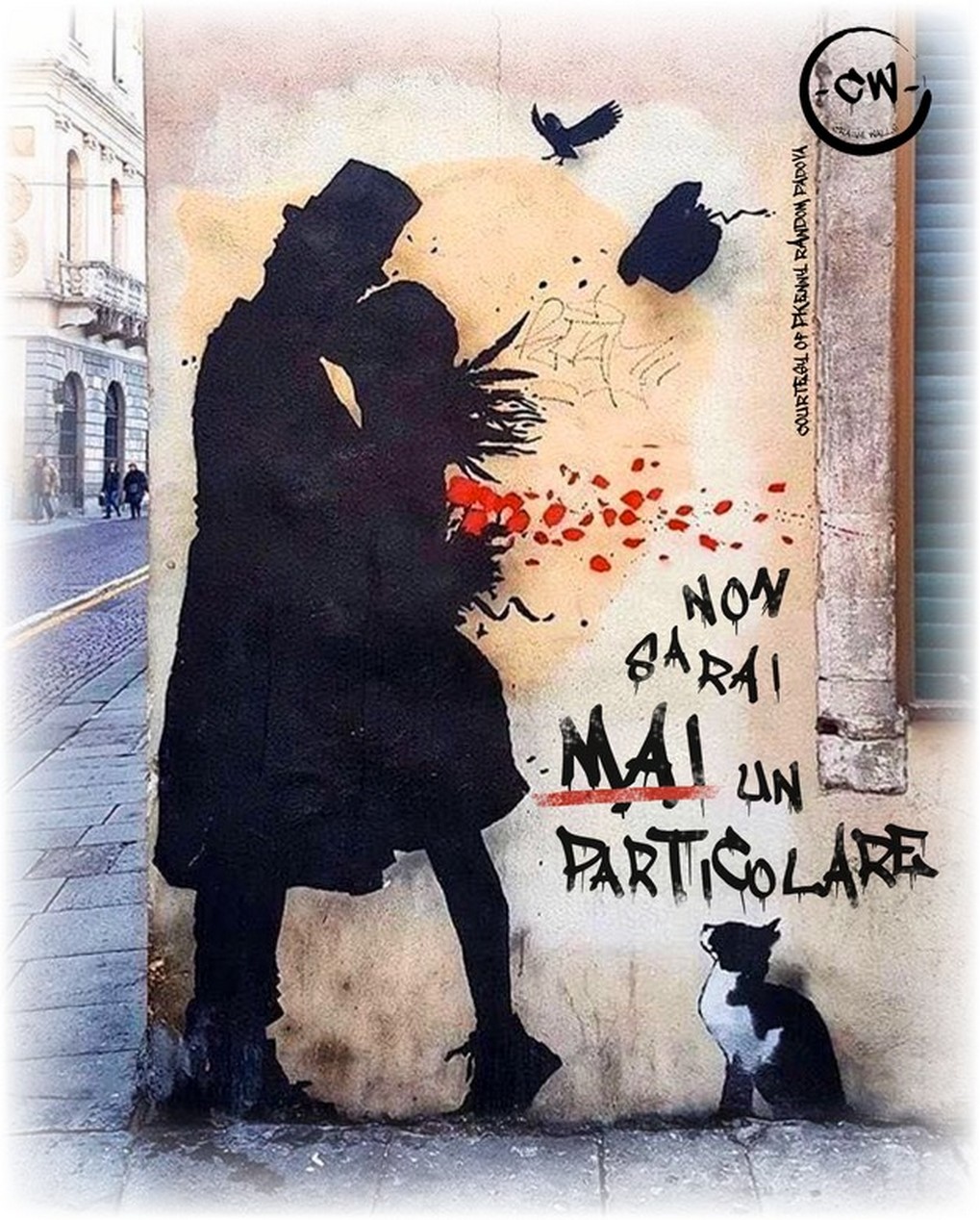 Felpa Donna Girocollo Sgarzata "Non sarai mai un particolare" - immagine 5