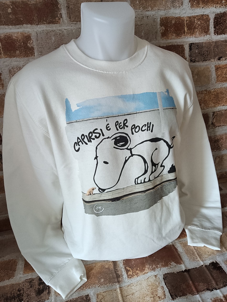 Felpa Unisex Girocollo Felpata "Capirsi e' per pochi" - immagine 3